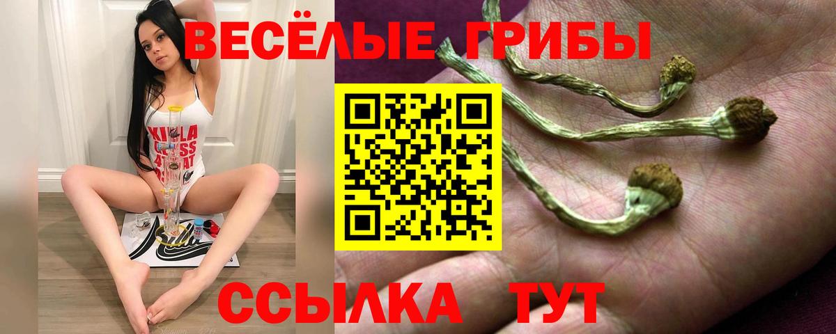 дарнет шоп  Псилоцибиновые грибы Magic Shrooms  Вход с VPN  Ирбит 